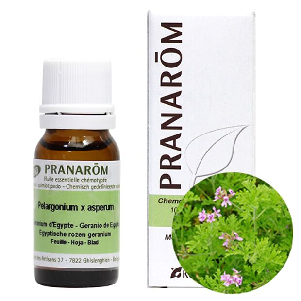 ゼラニウム エジプト/PRANAROM ゼラニウム エジプト/PRANAROM